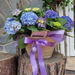 Canasto Hortensias Añil