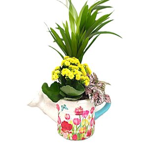 Regadera Lorie