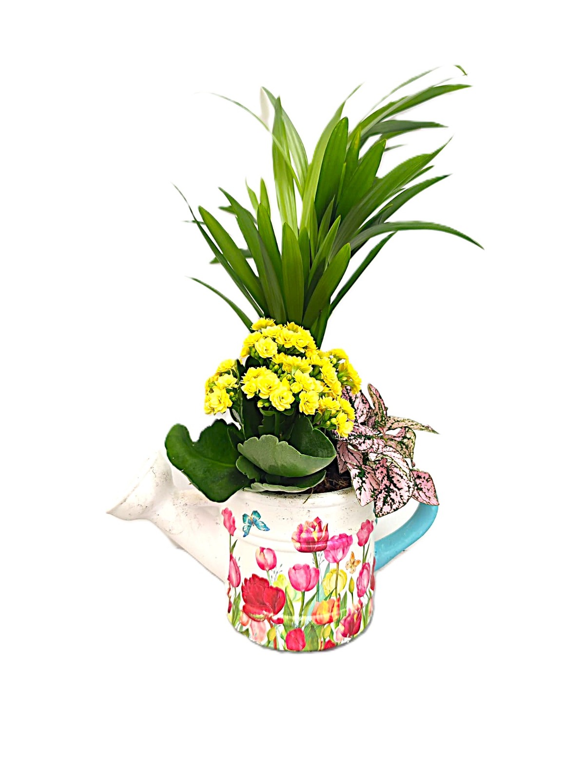 Regadera Lorie