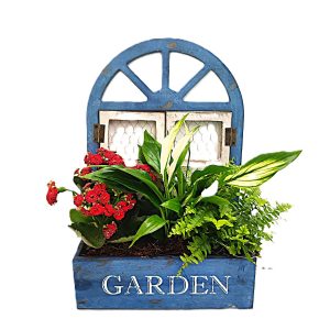 Ventana de la Felicidad