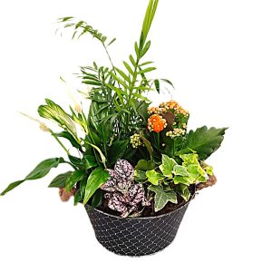 Jardinera Primavera