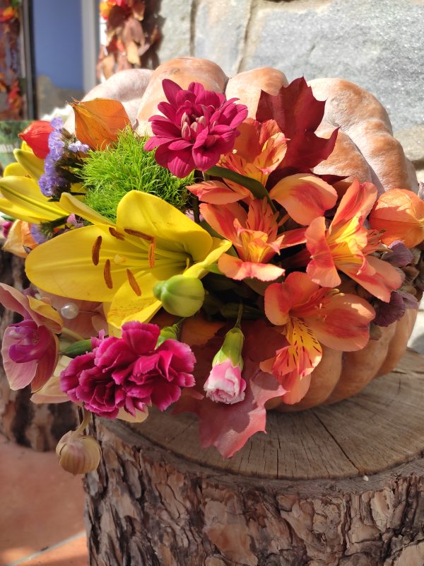 Bloom Pumpkin - Imagen 3