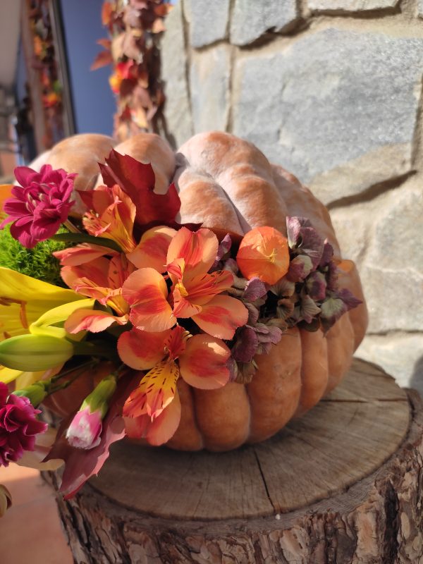 Bloom Pumpkin - Imagen 4