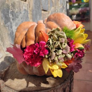 Bloom Pumpkin