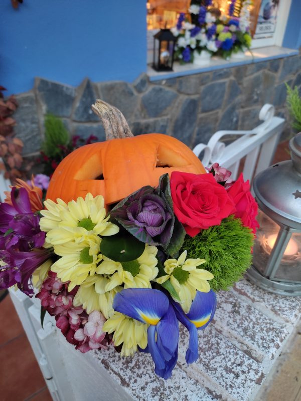 Calabaza Halloween - Imagen 3