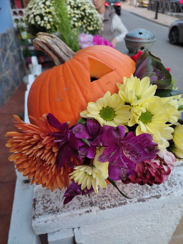 Calabaza Halloween - Imagen 4