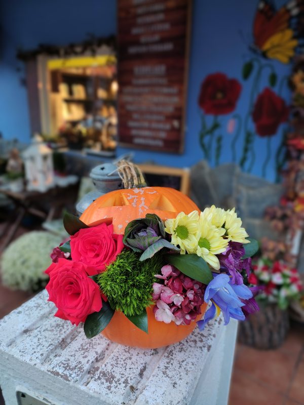 Calabaza Halloween - Imagen 5