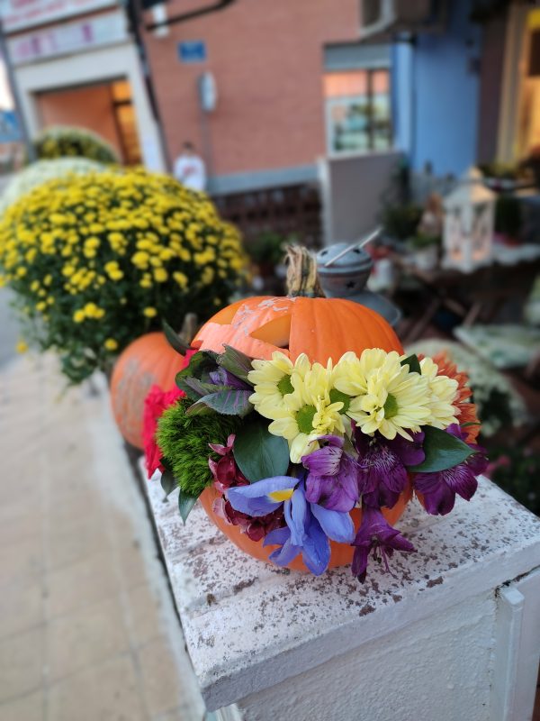 Calabaza Halloween - Imagen 6
