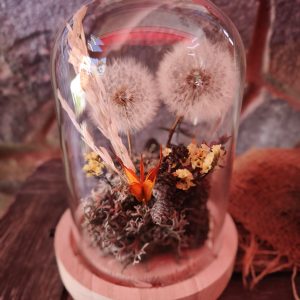 Cúpula Deseo Eterno