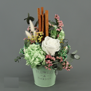 Centro Preservado Provenza