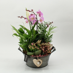 Centro Amor de Mamá