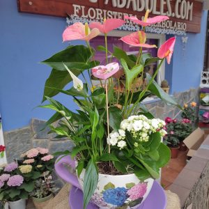 Taza Celinda