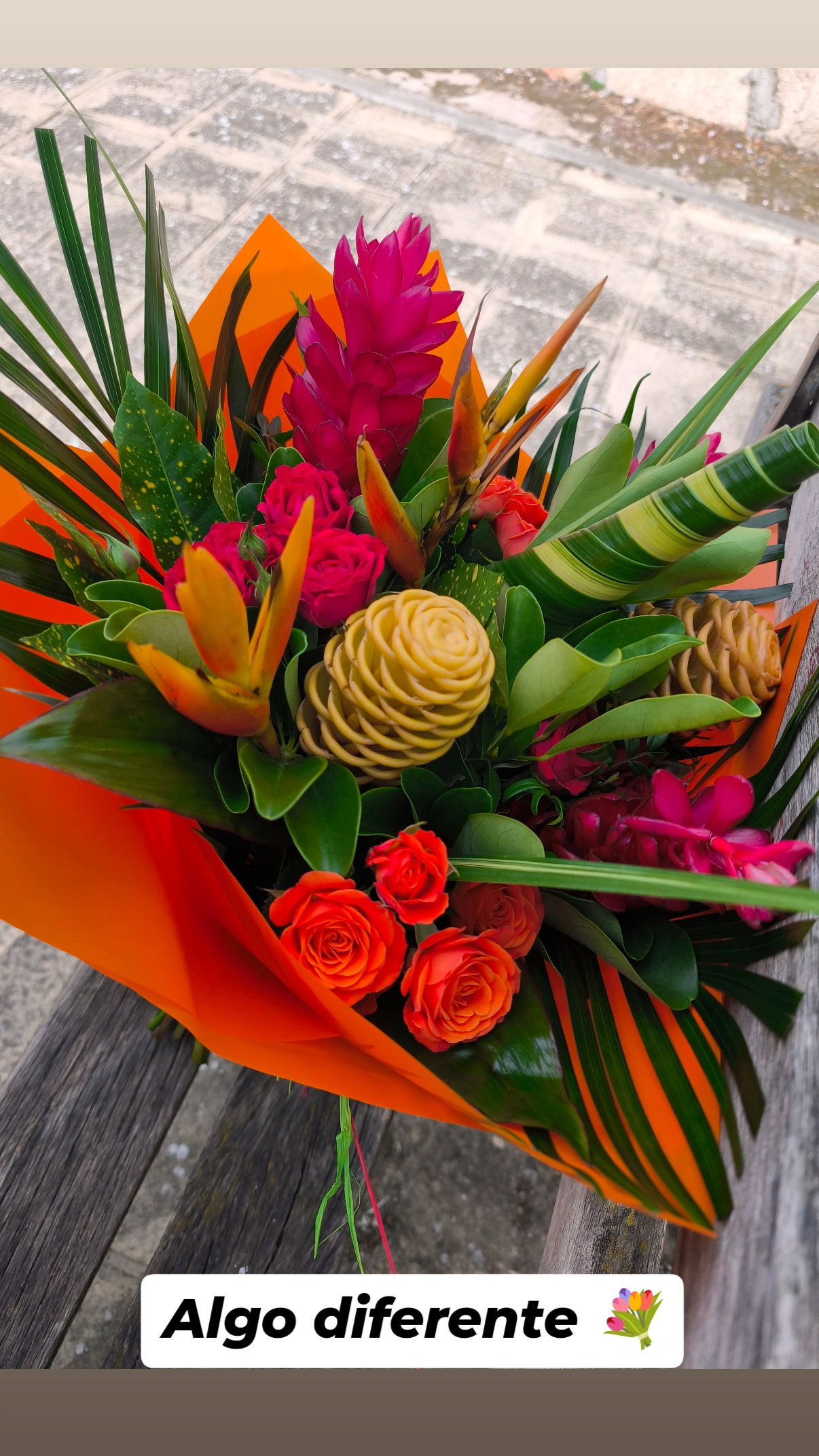 Ramo Tropic - Imagen 2