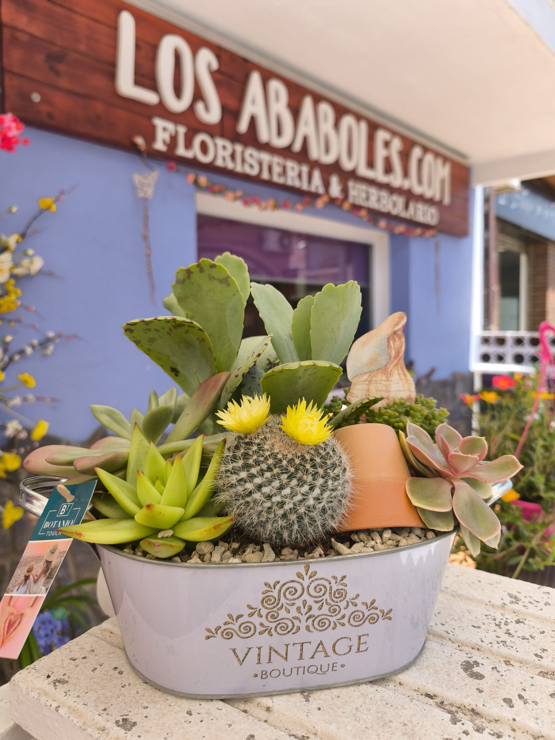 JardÃn de Verano Vintage