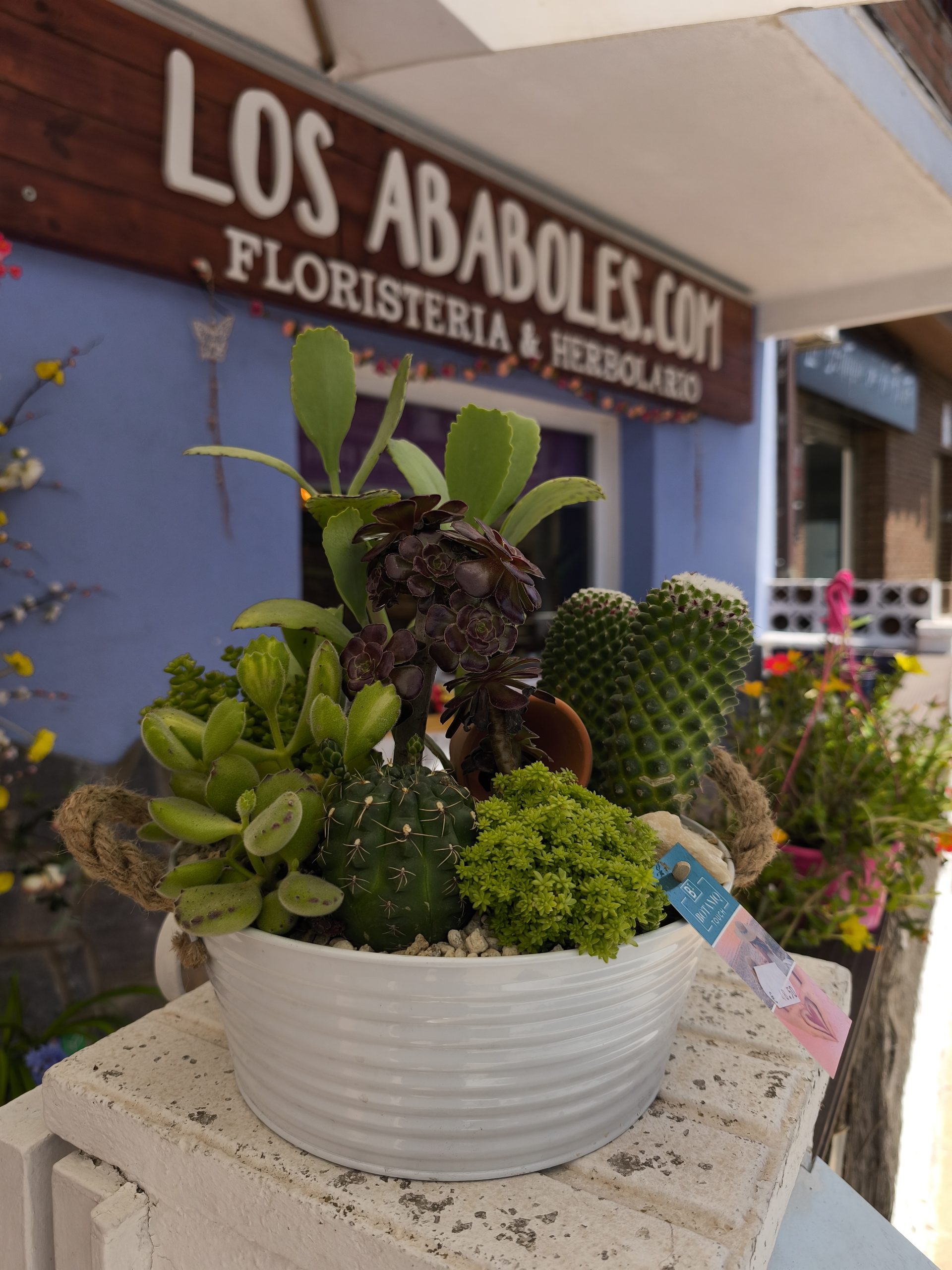 Jardín de Verano Premium - Imagen 2