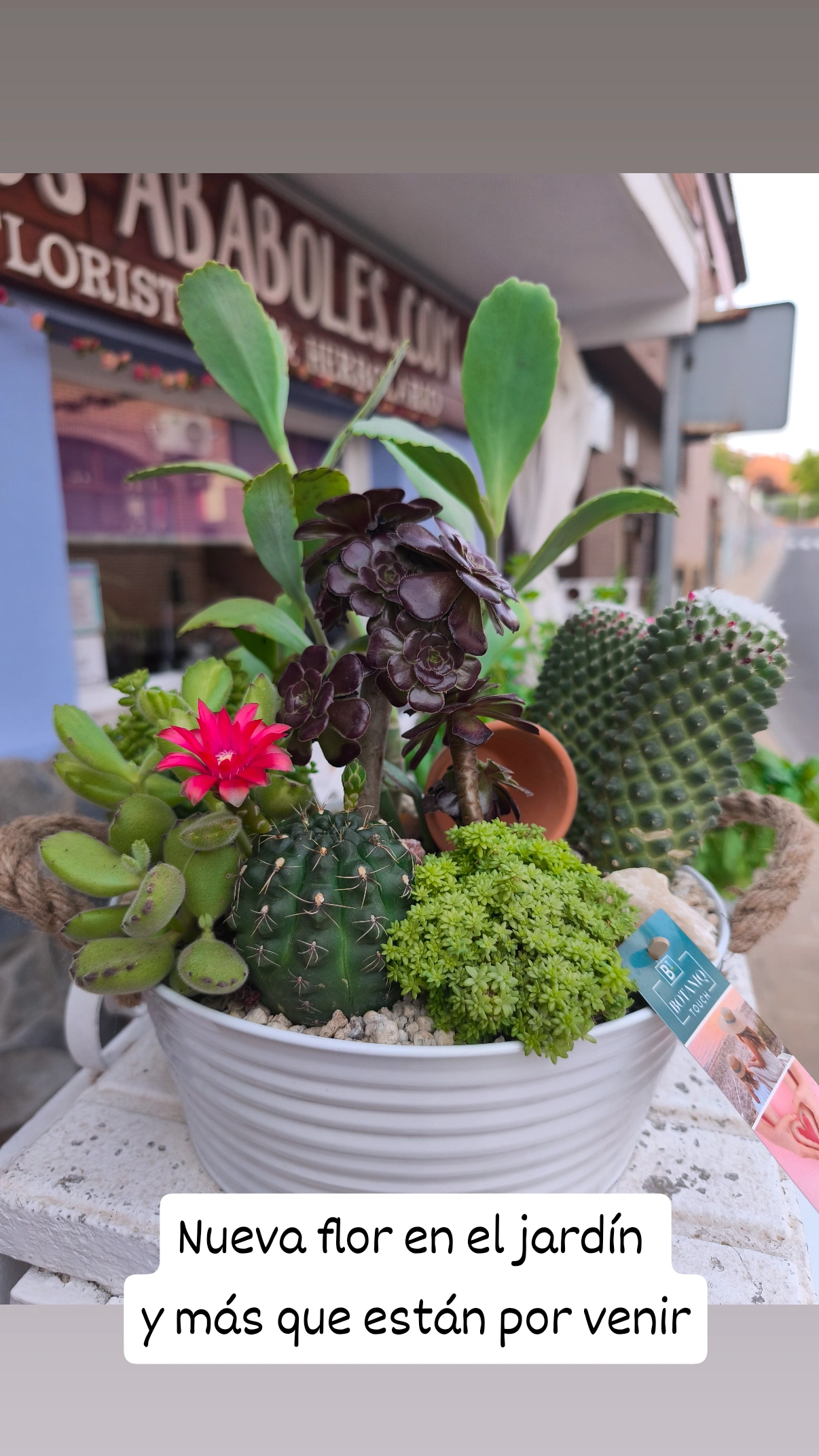 JardÃn de Verano Premium